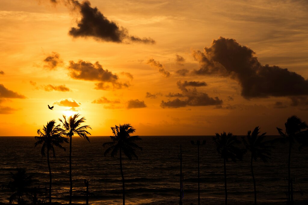 o que fazer em maceio: praias