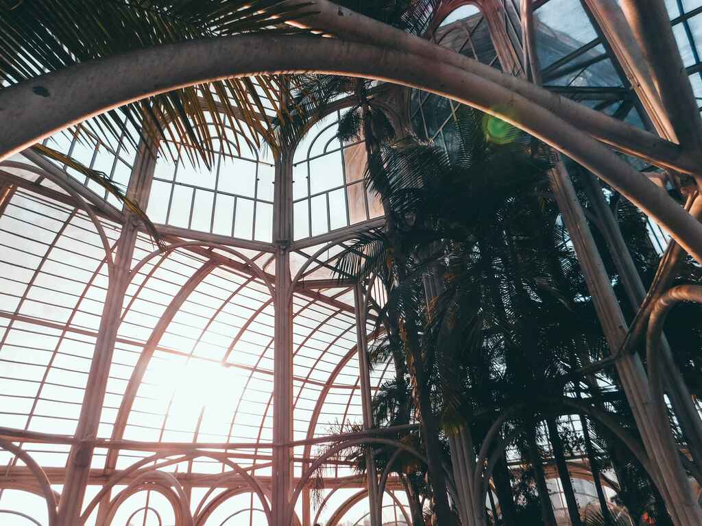 o que fazer em curitiba: ópera de arame