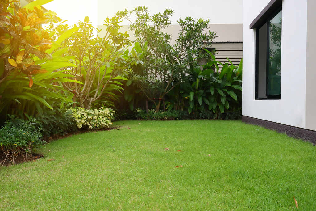 arvores para jardim pequeno