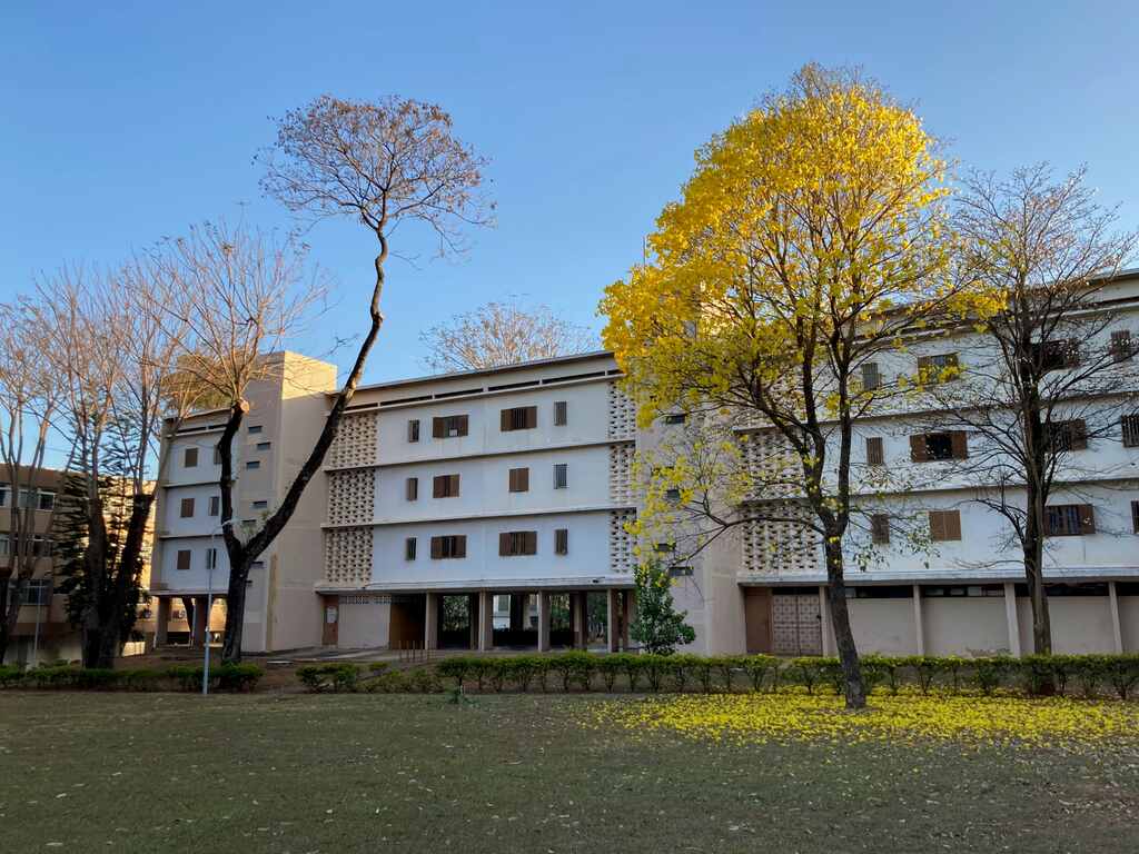 arvores para calçada residencial