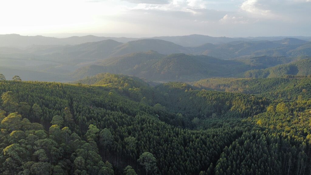 o que fazer em monte verde em família