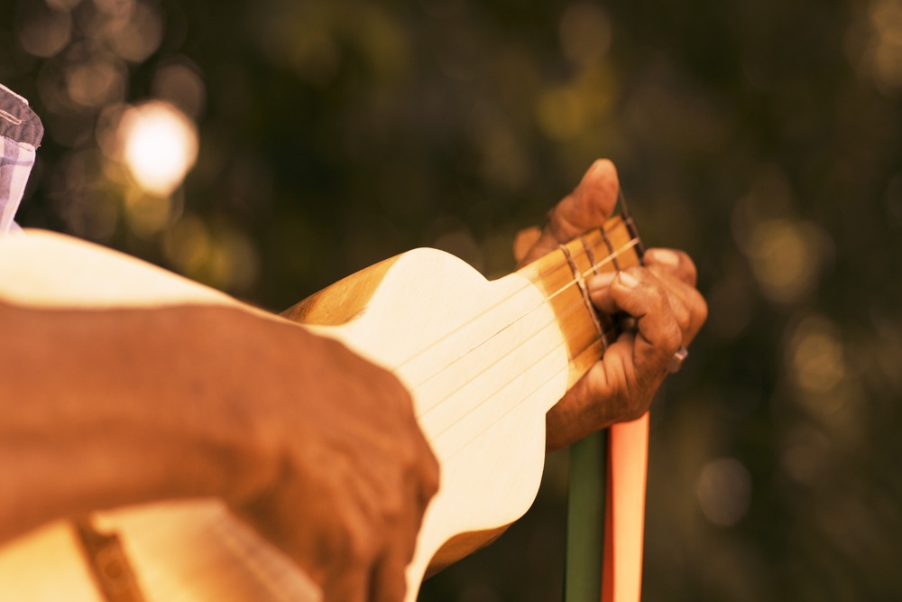 Culturas do Mato Grosso do Sul, viola de cocho